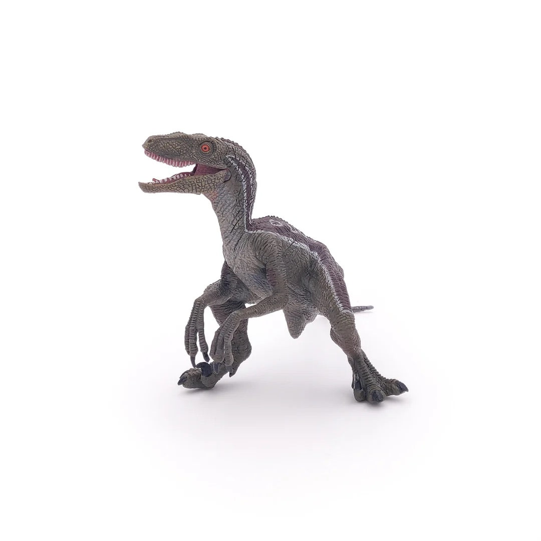 Papo France Hand Painted Realistic Velociraptor Figurine Toy