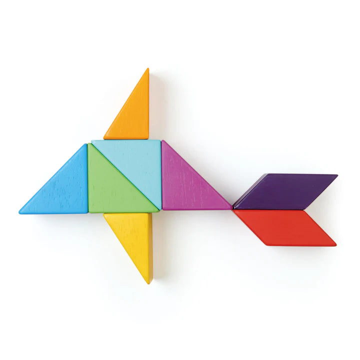 Tender Leaf Toys Designer Magblocs