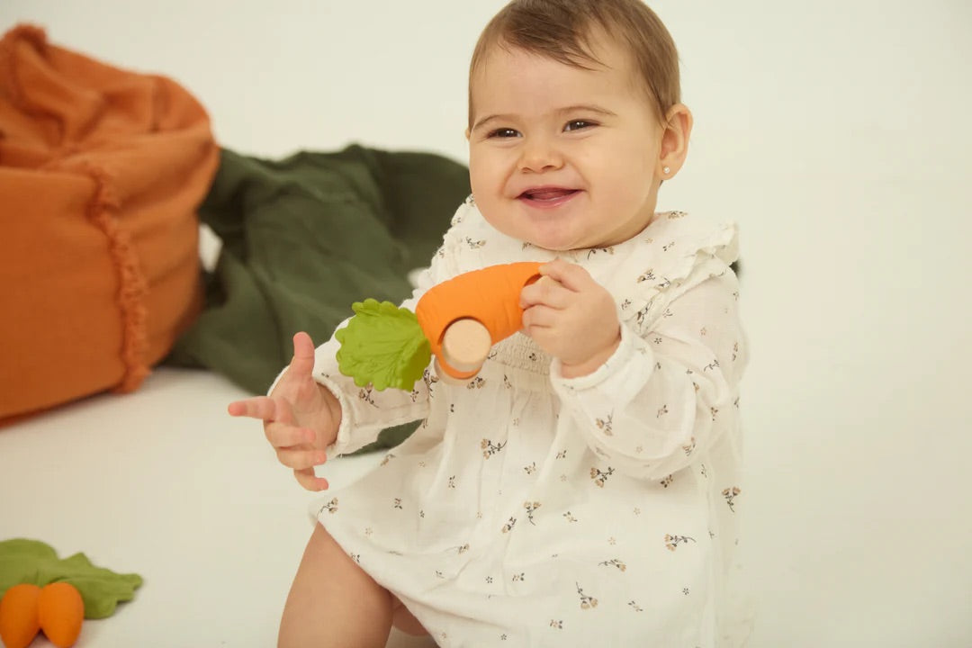 OLI&CAROL Cathy The Carrot Baby Car Toy