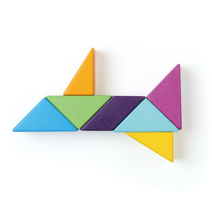 Tender Leaf Toys Designer Magblocs