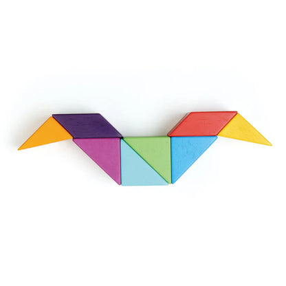 Tender Leaf Toys Designer Magblocs