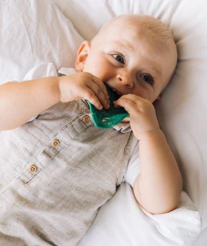 OLI&CAROL Chlorophyll Leaf Baby Teether