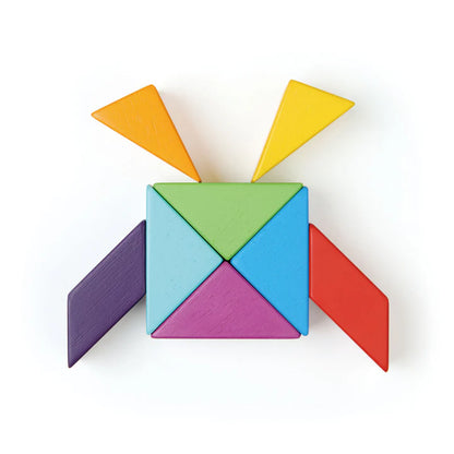 Tender Leaf Toys Designer Magblocs