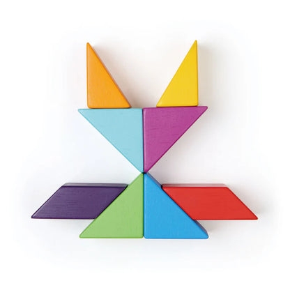 Tender Leaf Toys Designer Magblocs