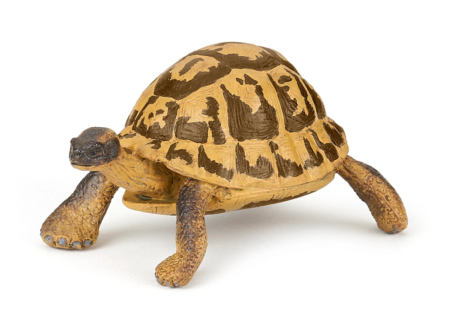 Papo France Hand Painted Realistic Hermann's Tortoise Figurine Toy