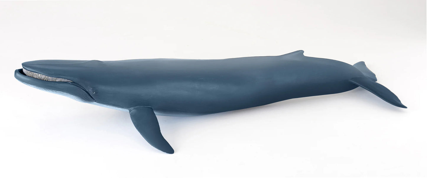 Papo France Hand Painted Realistic Blue Whale Figurine Toy