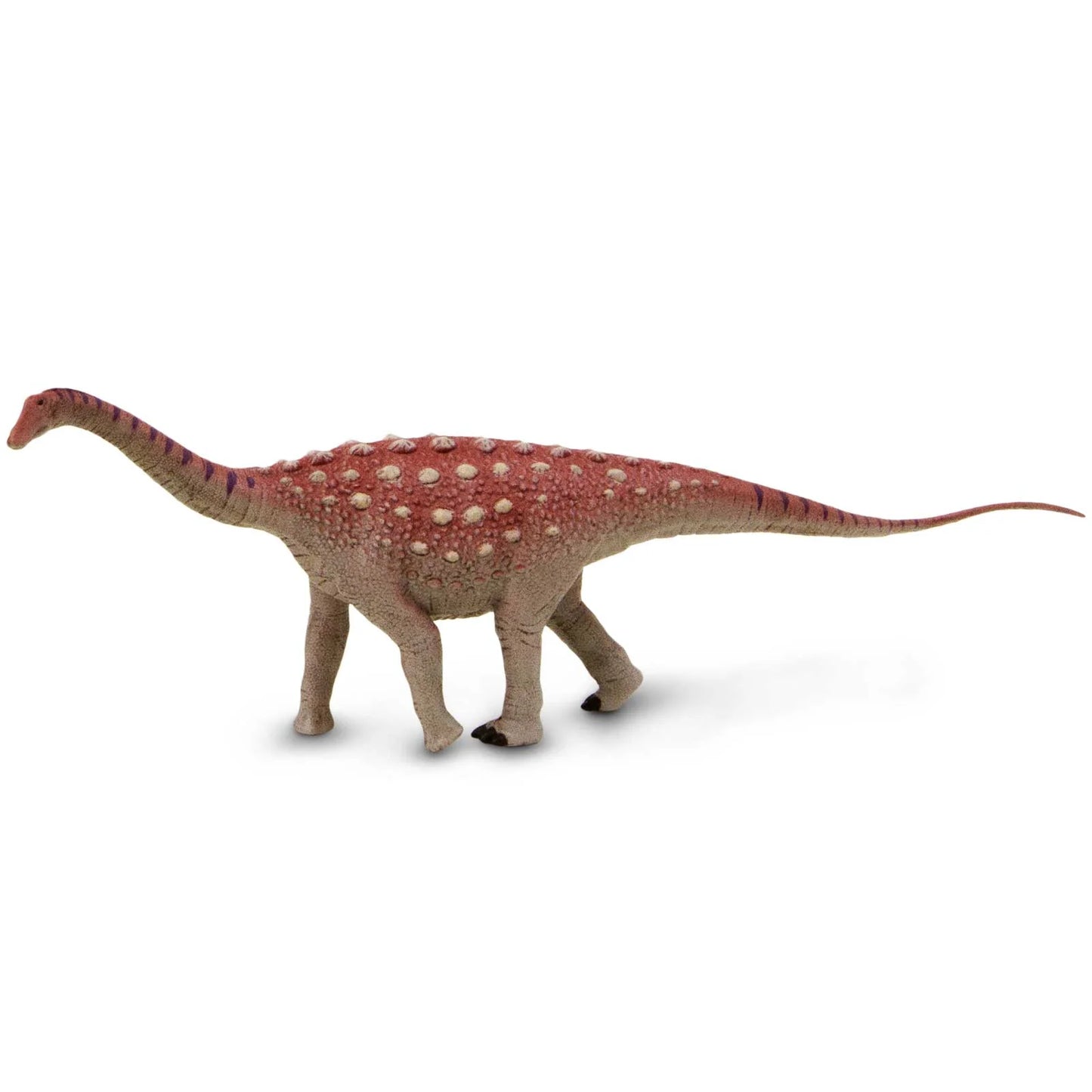 Safari Ltd Saltasaurus Toy Dinosaur Figurine