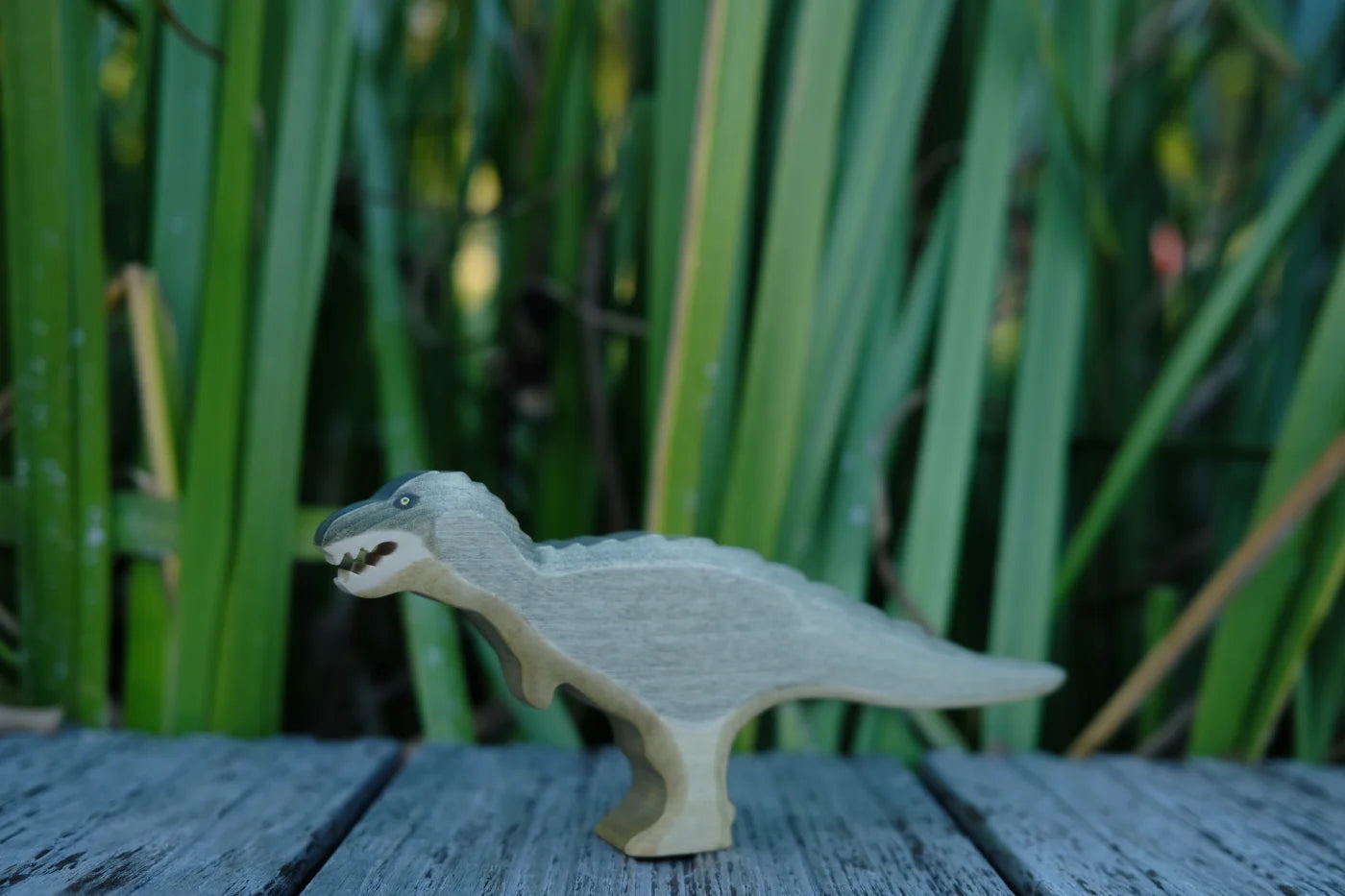 HOLZWALD Handmade Wooden Tyrannosaurus Rex