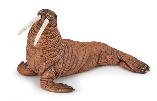 Papo France Hand Painted Realistic Walrus Figurine Toy