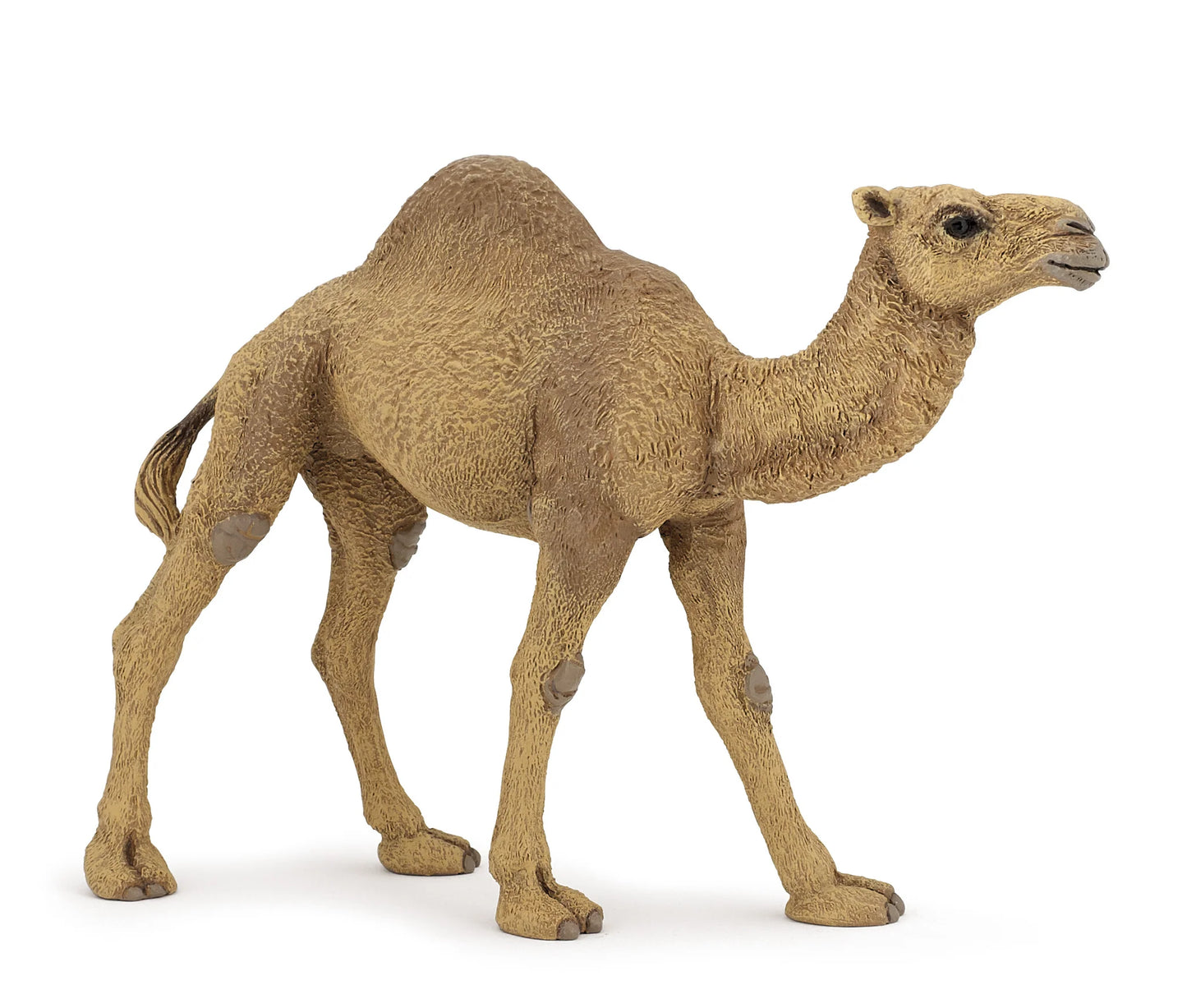 Papo France Hand Painted Realistic Dromedary Figurine Toy