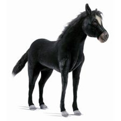 Hansa Creation Black Pony, Life Size 55''