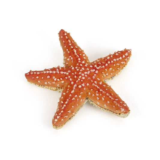 Papo France Hand Painted Realistic Starfish Figurine Toy