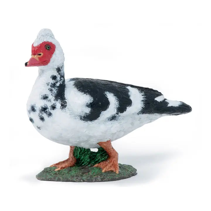 Papo France Hand Painted Realistic Domestic Muscovy Duck Figurine Toy