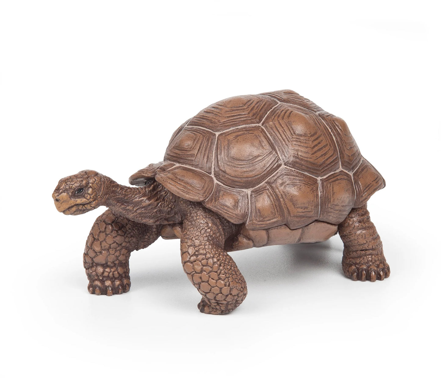 Papo France Hand Painted Realistic Galapagos Tortoise Figurine Toy