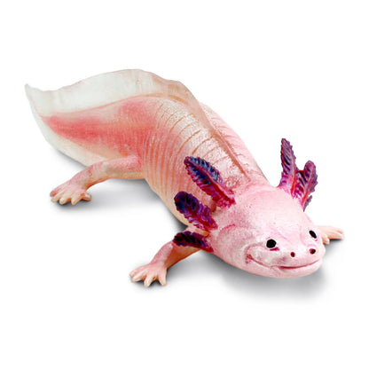 Safari Ltd Axolotl Toy Figurine