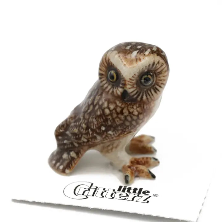 Little Critterz Sawyer Saw-Whet Owl Porcelain Miniature