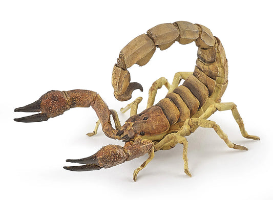 Papo France Hand Painted Realistic Scorpion Figurine Toy