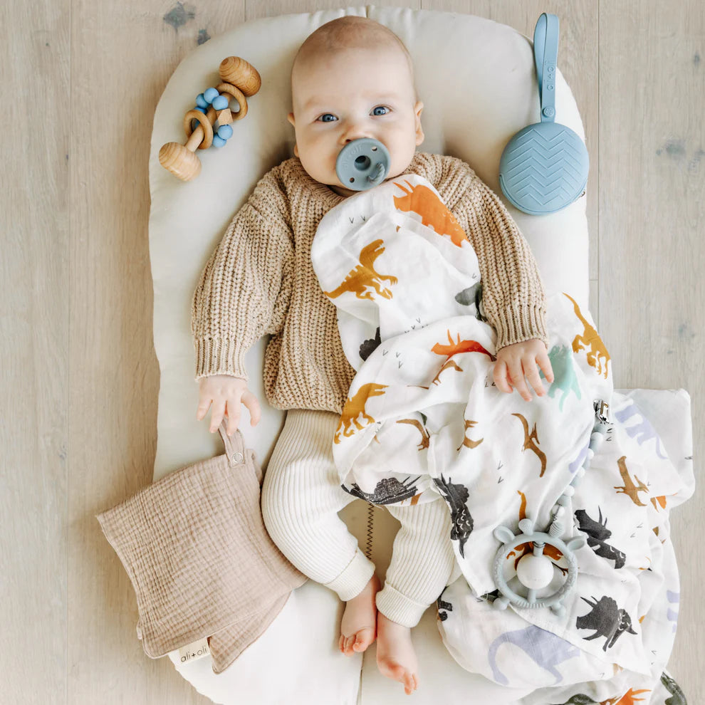 Ali+Oli Muslin Swaddle Blanket (Dinosaurs)