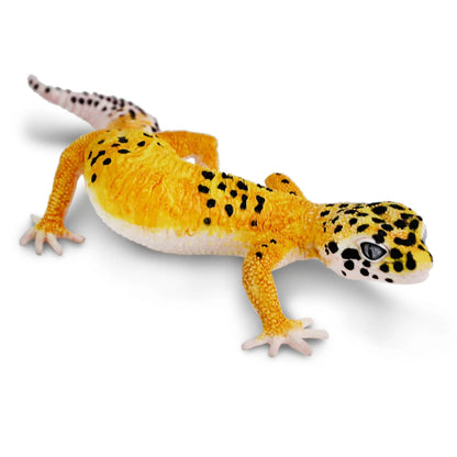 Safari Ltd Leopard Gecko Toy Figure