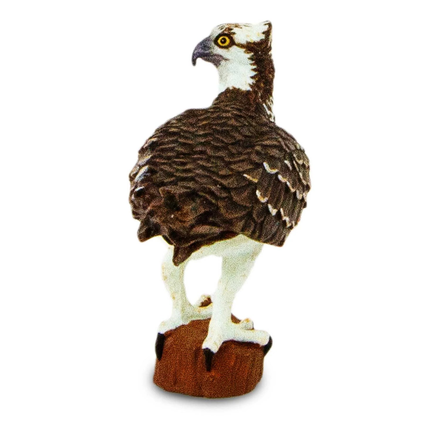 Safari Ltd Osprey Toy Bird Figure