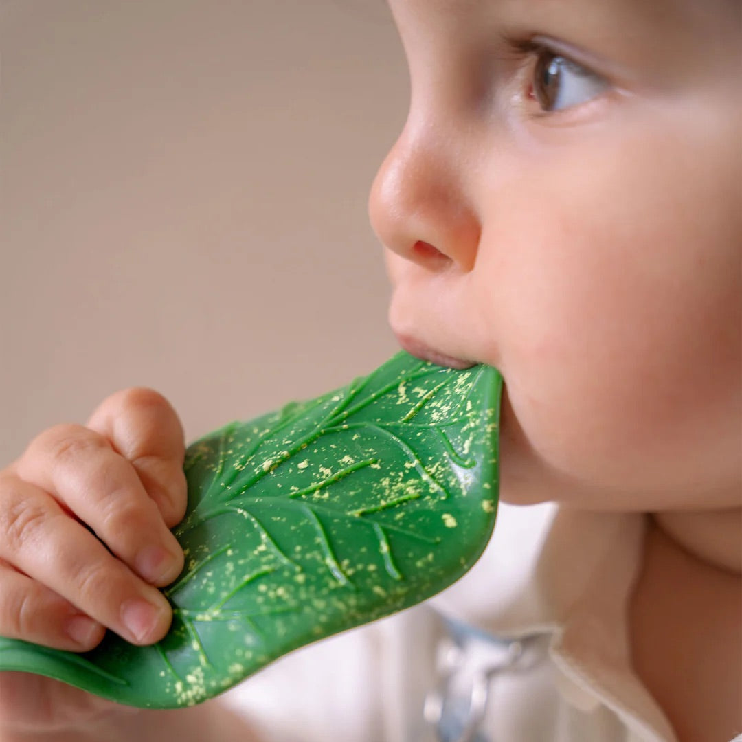 OLI&CAROL Chlorophyll Leaf Baby Teether