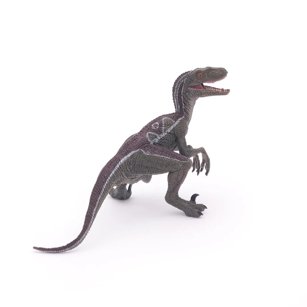 Papo France Hand Painted Realistic Velociraptor Figurine Toy