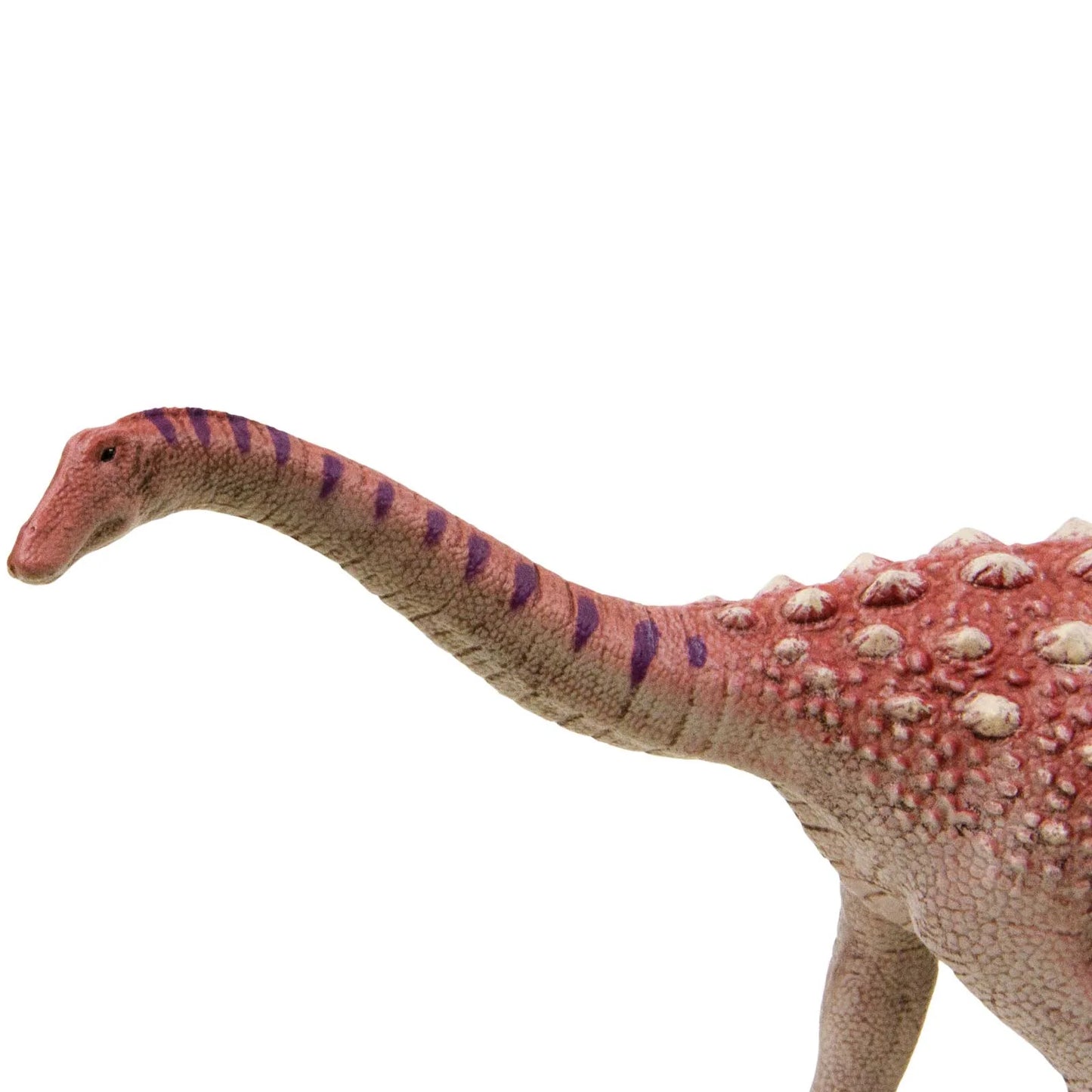 Safari Ltd Saltasaurus Toy Dinosaur Figurine