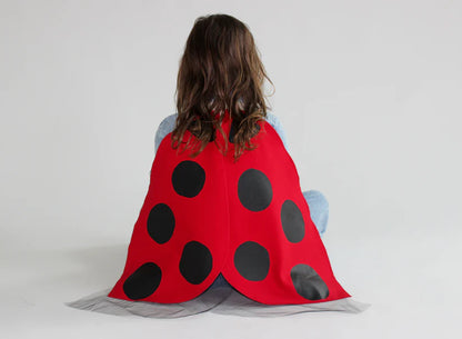 Jack Be Nimble Ladybug Costume