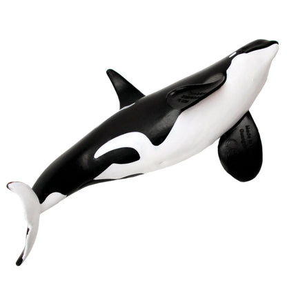 Safari Ltd Type D Orca Toy