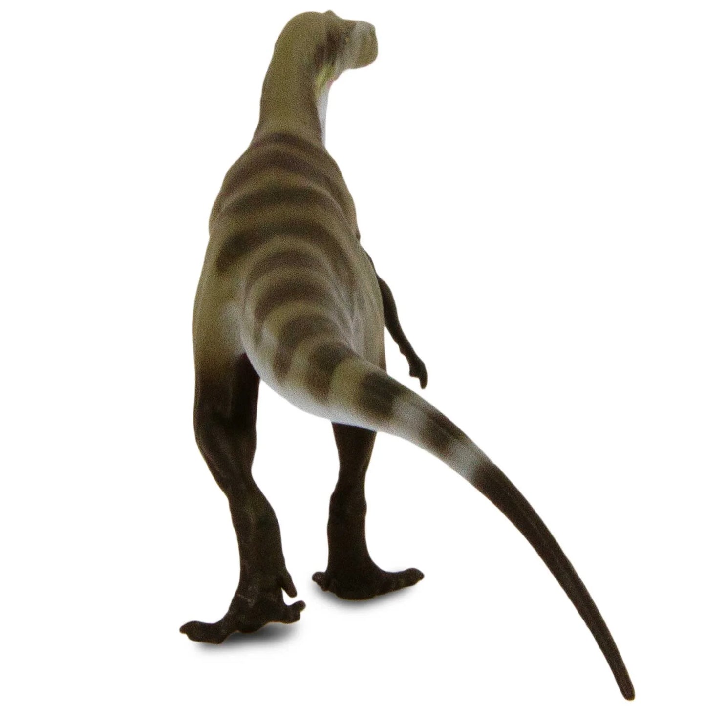 Safari Ltd Megalosaurus Toy Figure