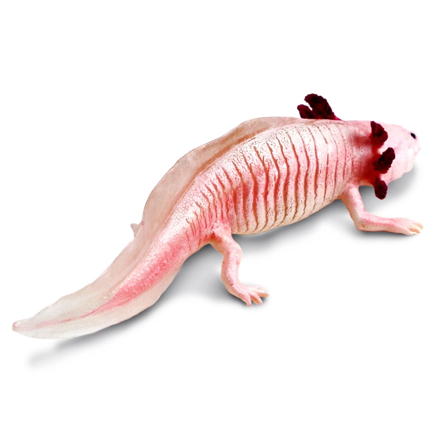 Safari Ltd Axolotl Toy Figurine