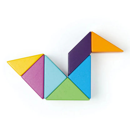 Tender Leaf Toys Designer Magblocs