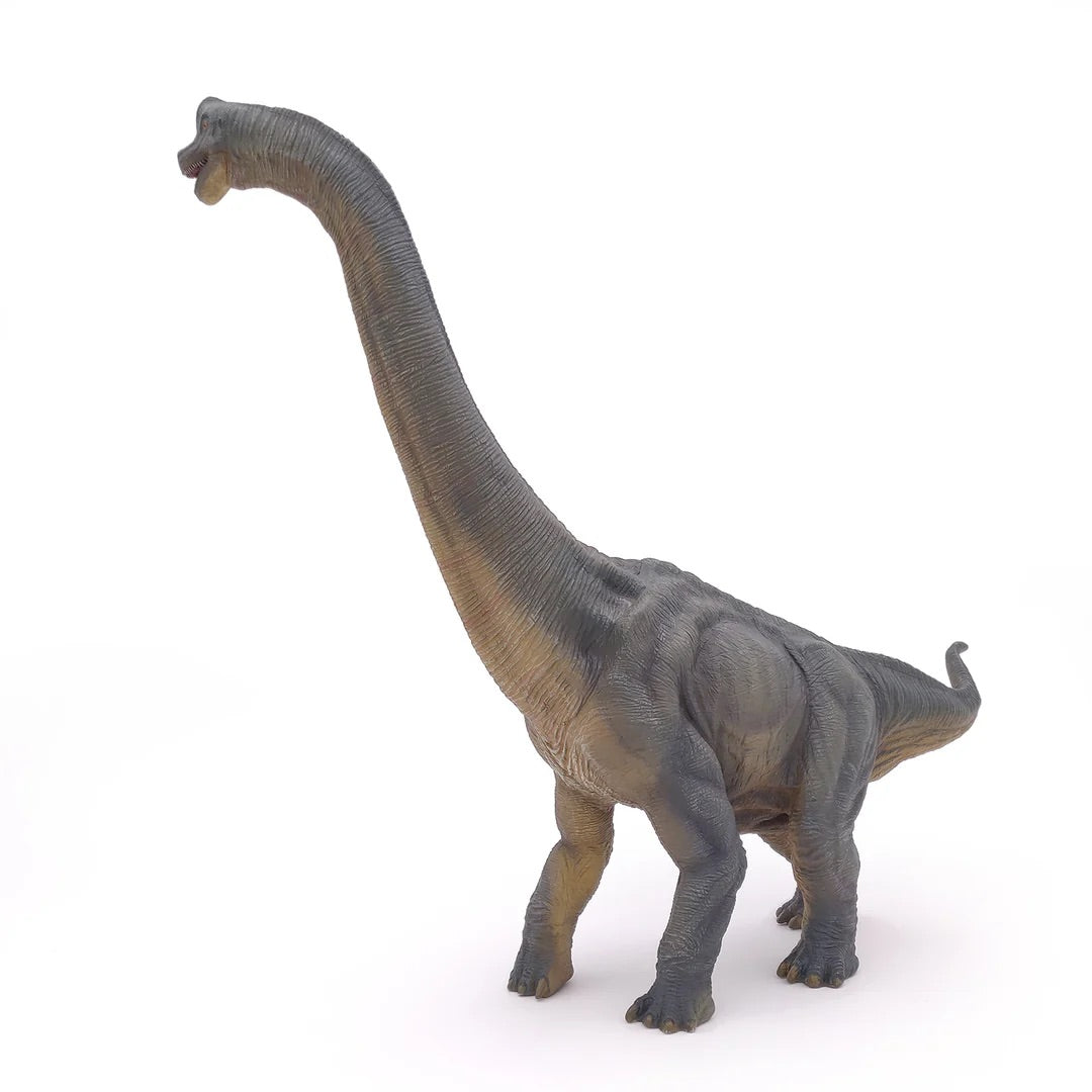 Papo France Hand Painted Realistic Brachiosaurus Figurine Toy