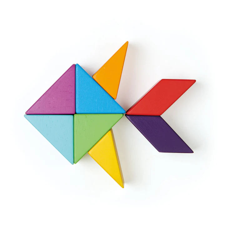 Tender Leaf Toys Designer Magblocs