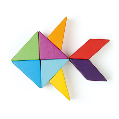 Tender Leaf Toys Designer Magblocs