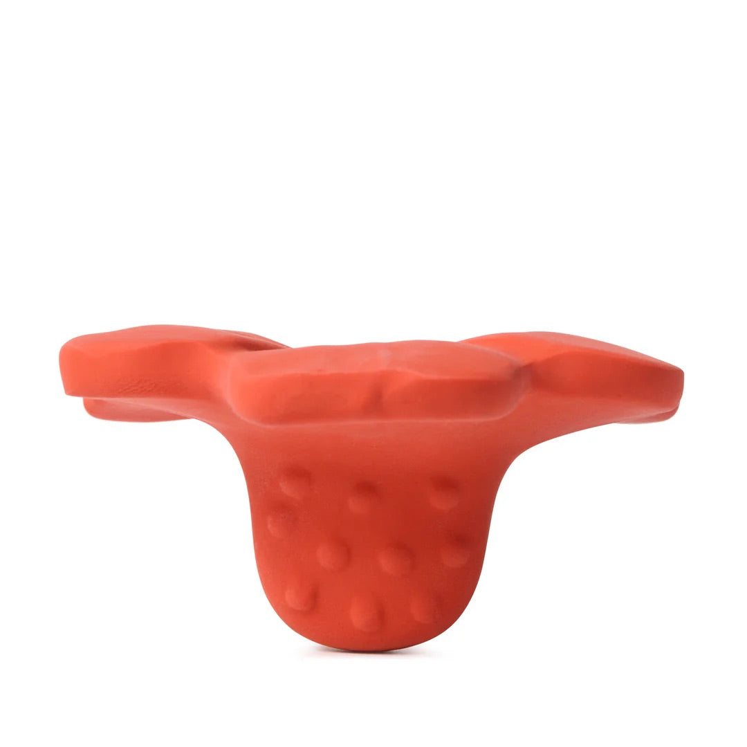 OLI&CAROL Pop the Poppy Mini Baby Teether