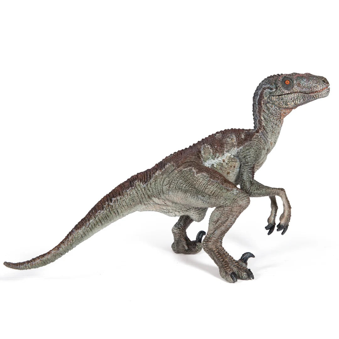 Papo France Hand Painted Realistic Velociraptor Figurine Toy