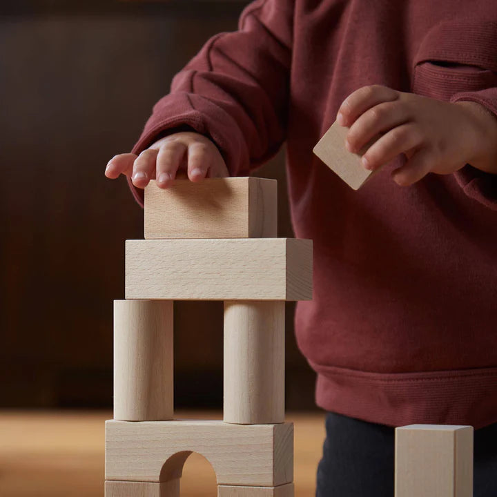 HABA Basic Building Blocks 60 Piece Large Starter Set